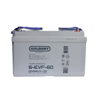 Тяговый аккумулятор Rutrike Gelbert 6-EVF-60 (12V64A/H C5)